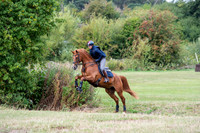Valentine 1st Horse