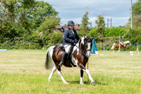 Equine