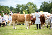Hanbury Show 2026