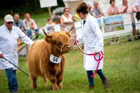 Hanbury Show 2016-2026