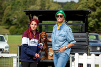 Best Tractor / Horsebox Companion