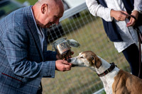 Best Rescue Dog