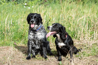 Molly and Bramble