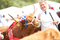 Hanbury Show 2025